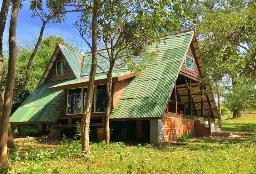 بنگله خانوادگی, Nature Lodge