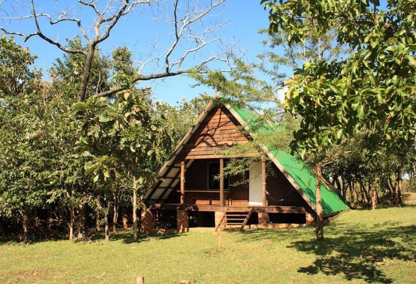 بنگله خانوادگی, Nature Lodge