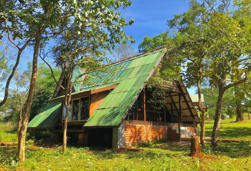 بنگله خانوادگی, Nature Lodge
