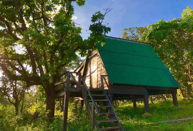 بانگلوی استاندارد, Nature Lodge