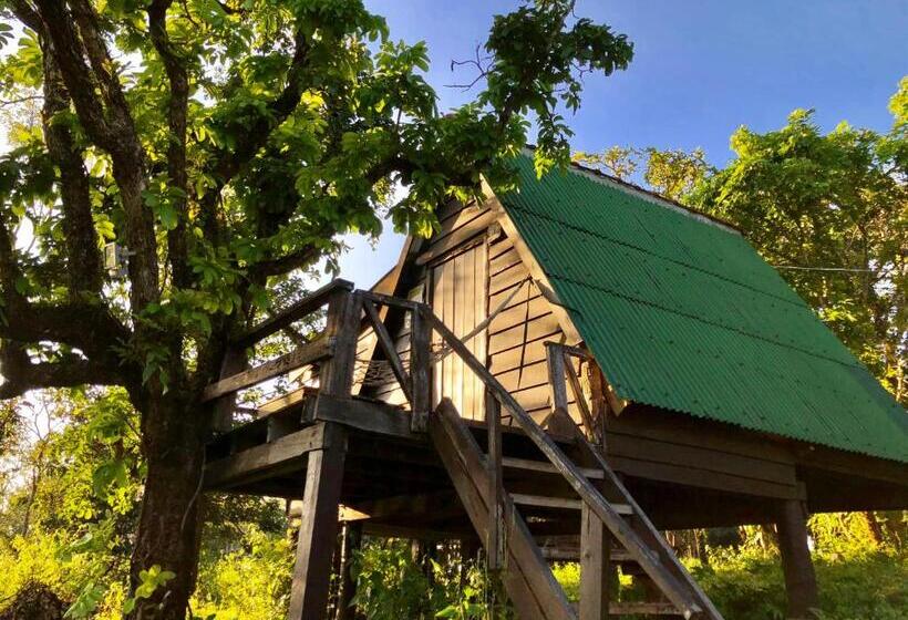بانگلوی استاندارد, Nature Lodge