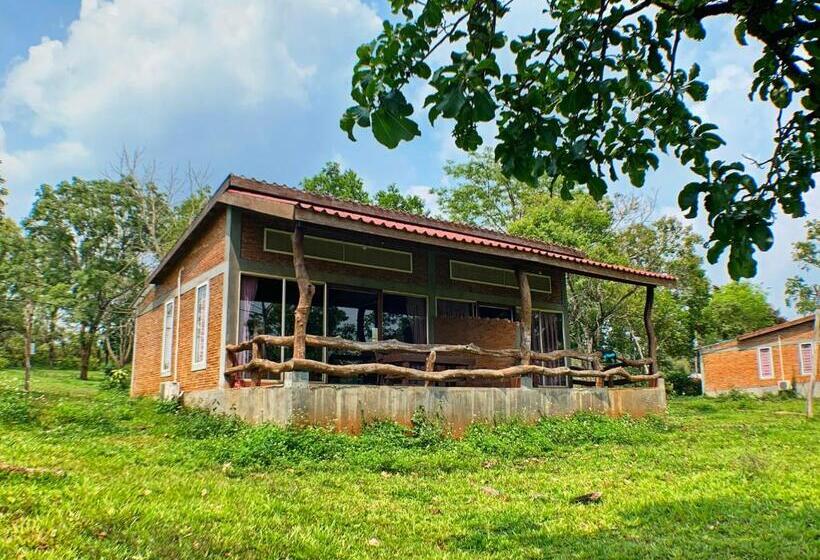 اتاق لوکس خانوادگی, Nature Lodge