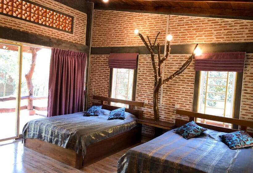 اتاق لوکس خانوادگی, Nature Lodge