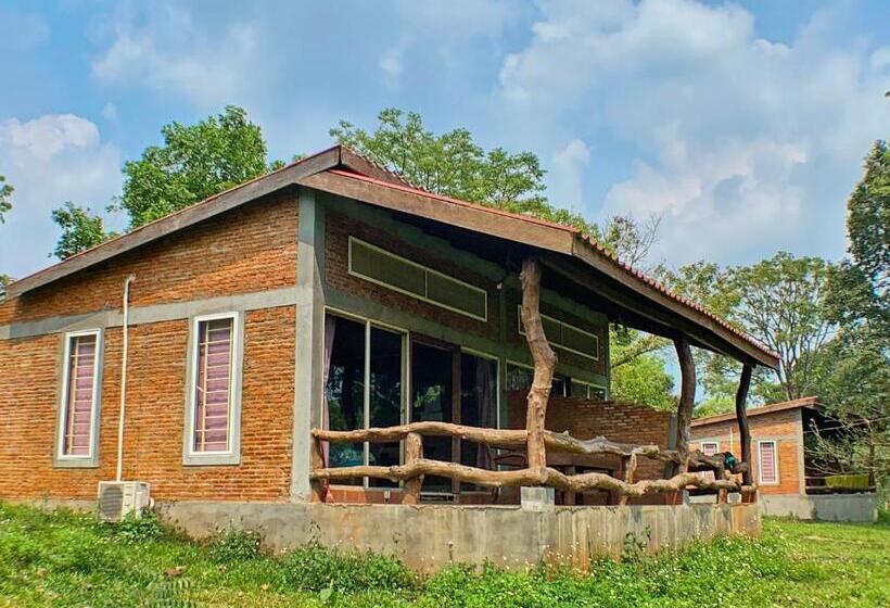 اتاق لوکس خانوادگی, Nature Lodge