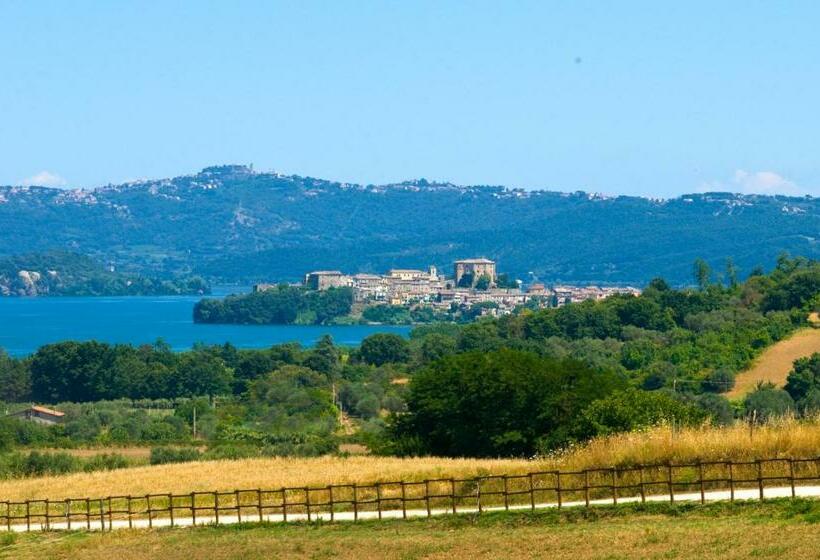Quarto Estandar, Agriturismo Le Ginestre