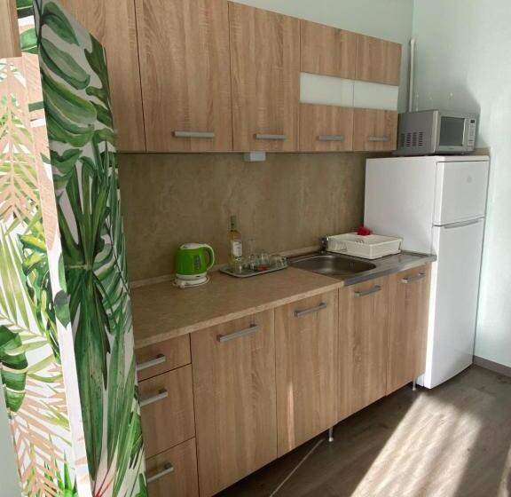 آپارتمان لوکس 1 خوابه, Platán Apartmanház