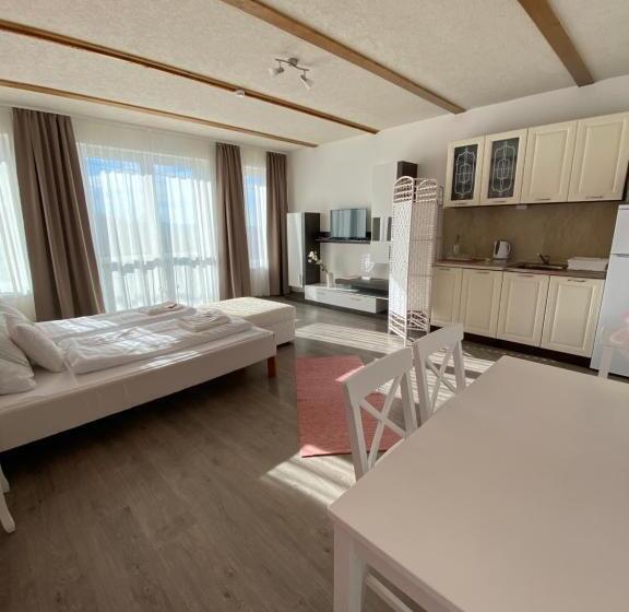 آپارتمان سوپریور 1 خوابه, Platán Apartmanház