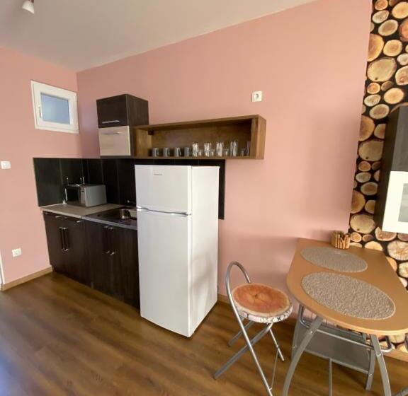 آپارتمان 1 خوابه با چشم‌انداز باغ, Platán Apartmanház