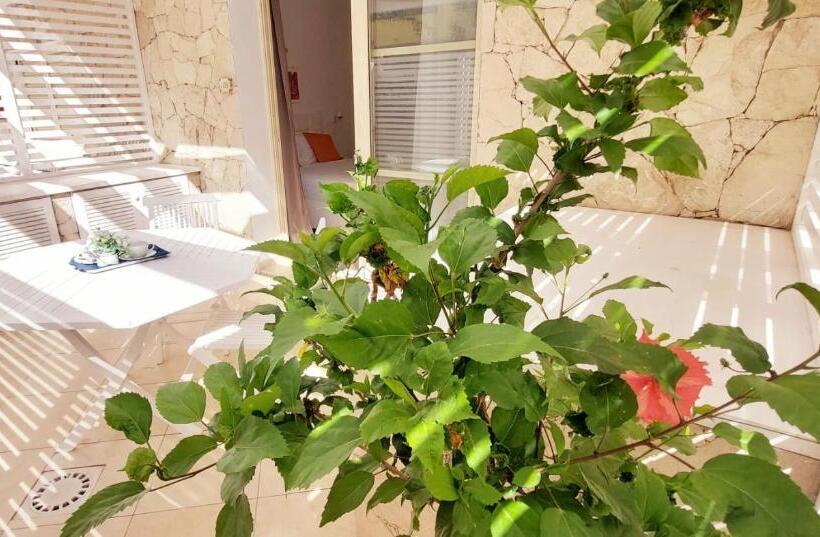 اتاق استاندارد اینتریور, Branco Suites   Rooms & Holiday Apartments