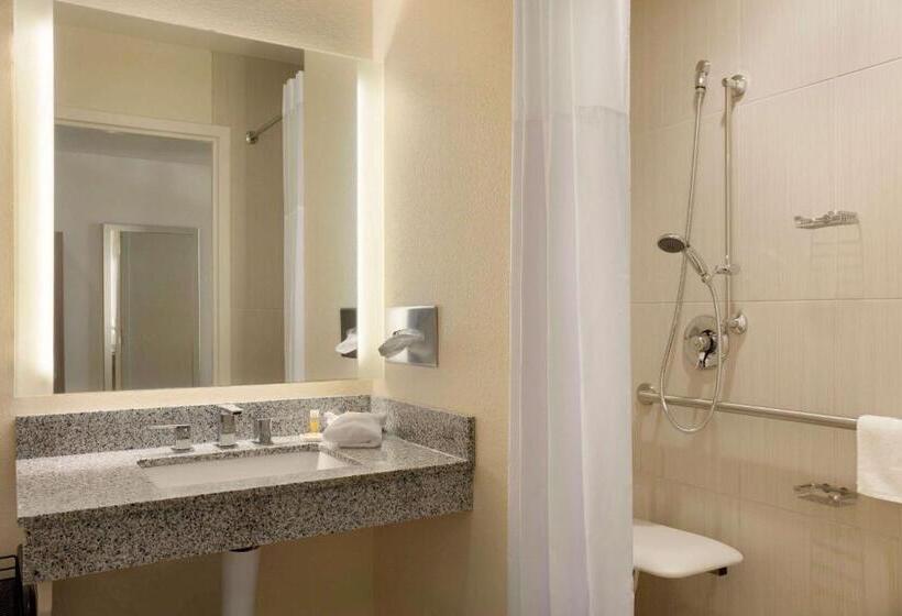Номер Стандарт Кровать Кинг Адаптированный для Инвалидов, Days Inn & Suites By Wyndham Caldwell