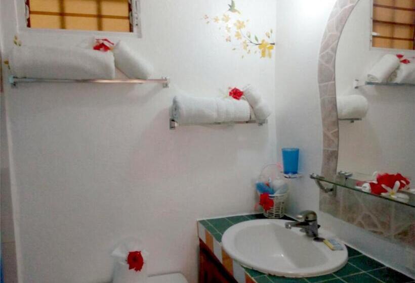 Apartamento Deluxe 1 Dormitório, House Jardin Del Caribe