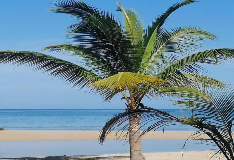 Quarto Deluxe, House Jardin Del Caribe