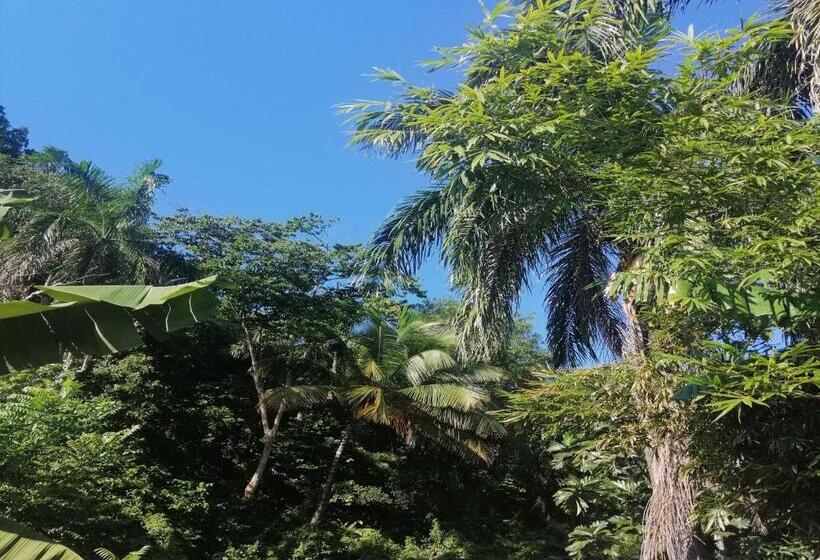 Quarto Deluxe, House Jardin Del Caribe