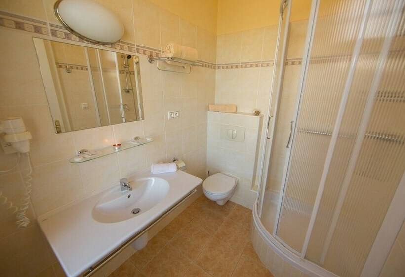 Quarto Deluxe, Lázeňská Léčebna Mánes