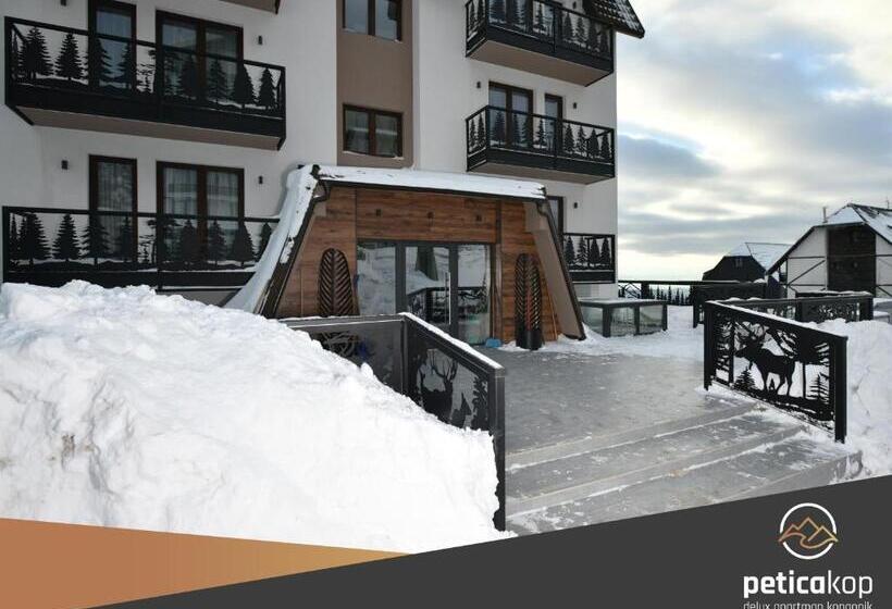 استودیو استاندارد با تخت کینگ, Apartman Petica Kop A8 Kopaonik