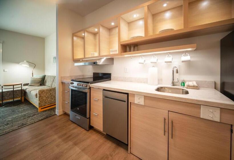 استودیو استاندارد با تخت کینگ, Towneplace Suites By Marriott Louisville Downtown