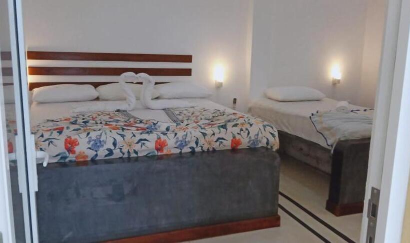 اتاق لوکس خانوادگی, Petit Guest House