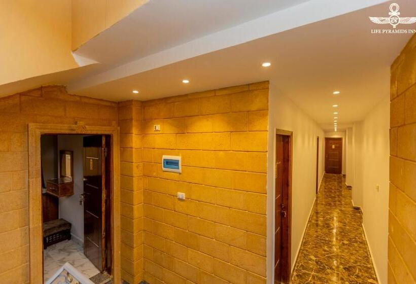 اتاق لوکس با تخت بزرگ, Life Pyramids Inn
