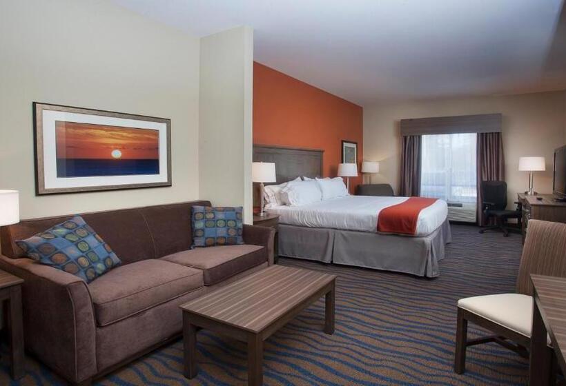 Люкс Адаптированный для Инвалидов, Holiday Inn Express Hotel & Suites Morgan City  Tiger Island, An Ihg