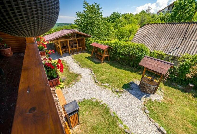 Апартаменты 1 Спальня, Casa De Vacanta Sadu