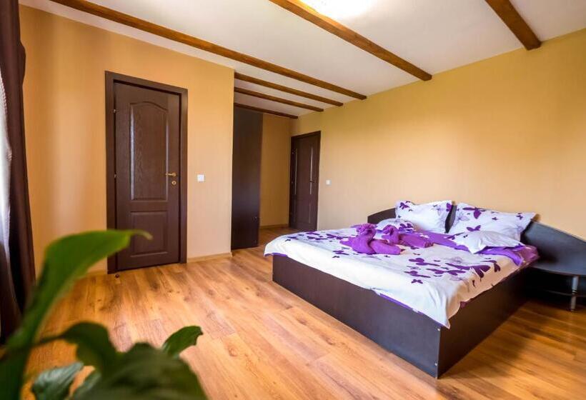 Апартаменты 1 Спальня, Casa De Vacanta Sadu