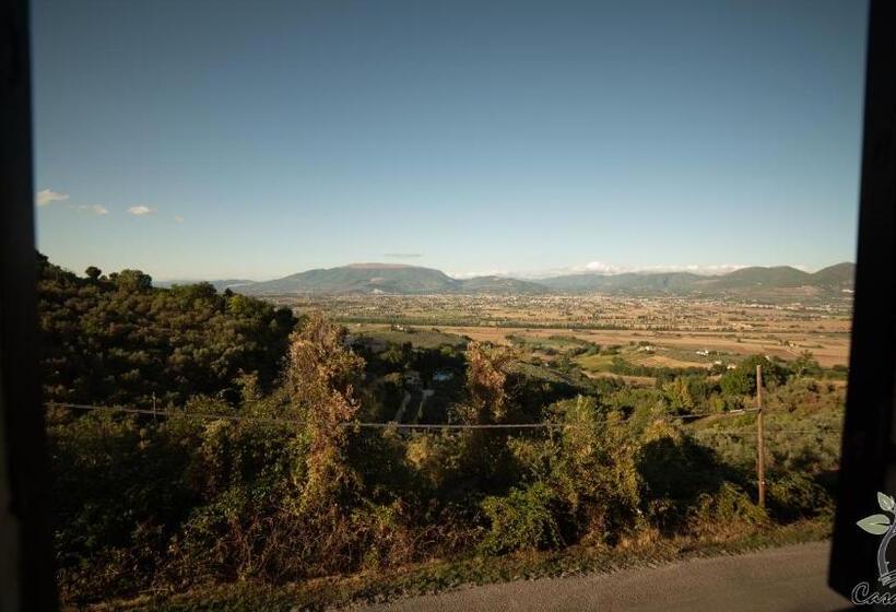 Апартаменты 1 Спальня Нижний Этаж, Agriturismo Casa Orsini