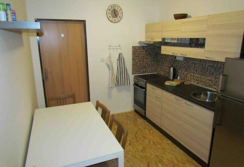Апартаменты 1 Спальня, Dopravna Alžbětín