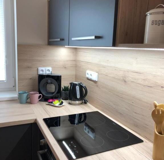 اتاق دوبلکس, Apartmány Koněvova