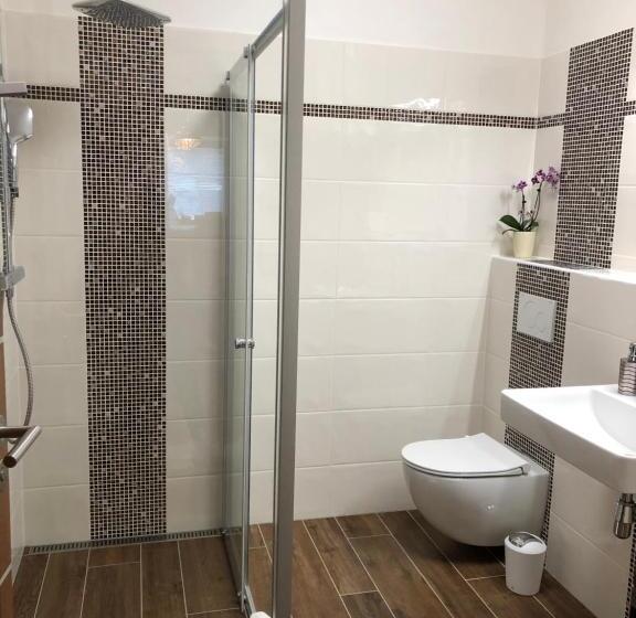 آپارتمان 1 خوابه با تراس, Apartmány Koněvova