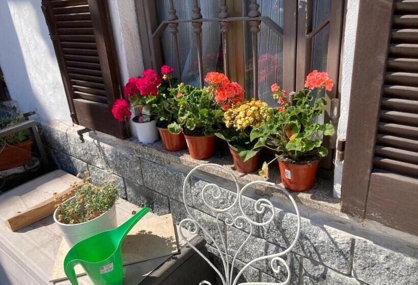 اتاق سوپریور, Room Saronno + B&b