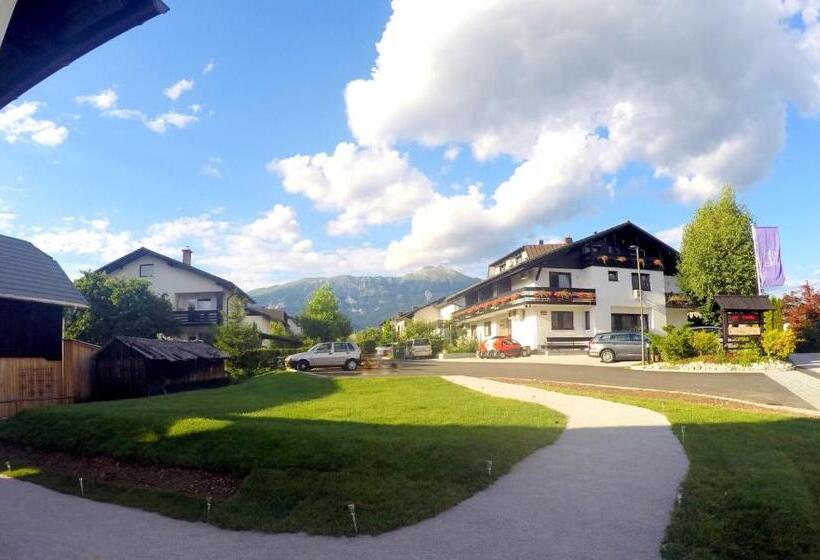 آپارتمان 1 خوابه با تراس, The Jungle Apartments And Rooms
