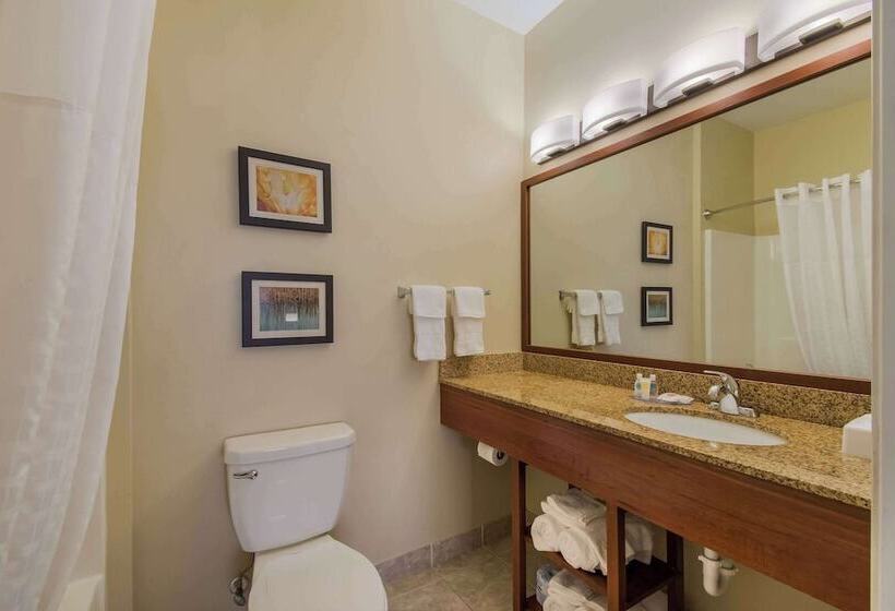 Люкс, Comfort Inn & Suites Barnesville   Frackville