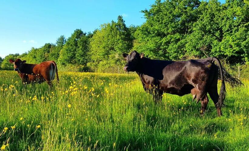 Мобильный Дом, La Ferme De Piardiere