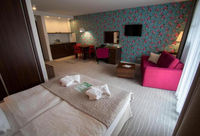 سوییت, Aparthotel Flinski Sport & Spa