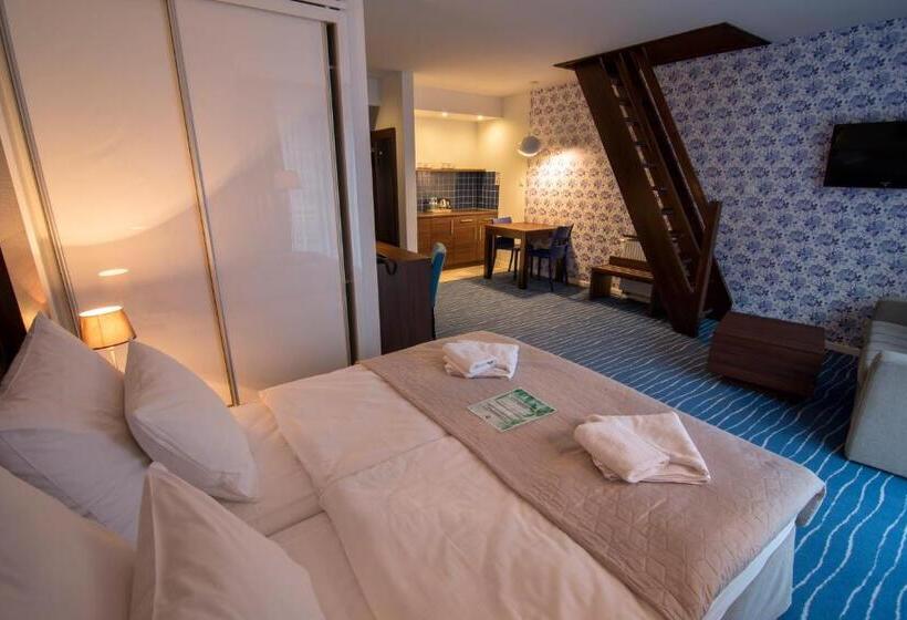 آپارتمان 1 خوابه, Aparthotel Flinski Sport & Spa
