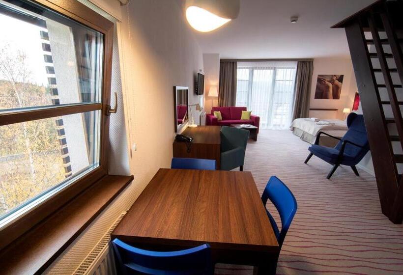 آپارتمان دوبلکس 1 خوابه, Aparthotel Flinski Sport & Spa