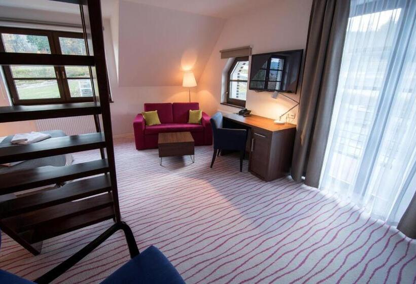 آپارتمان لوکس 1 خوابه, Aparthotel Flinski Sport & Spa