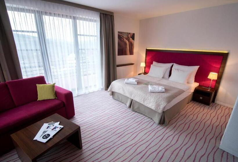 آپارتمان دوبلکس 1 خوابه, Aparthotel Flinski Sport & Spa