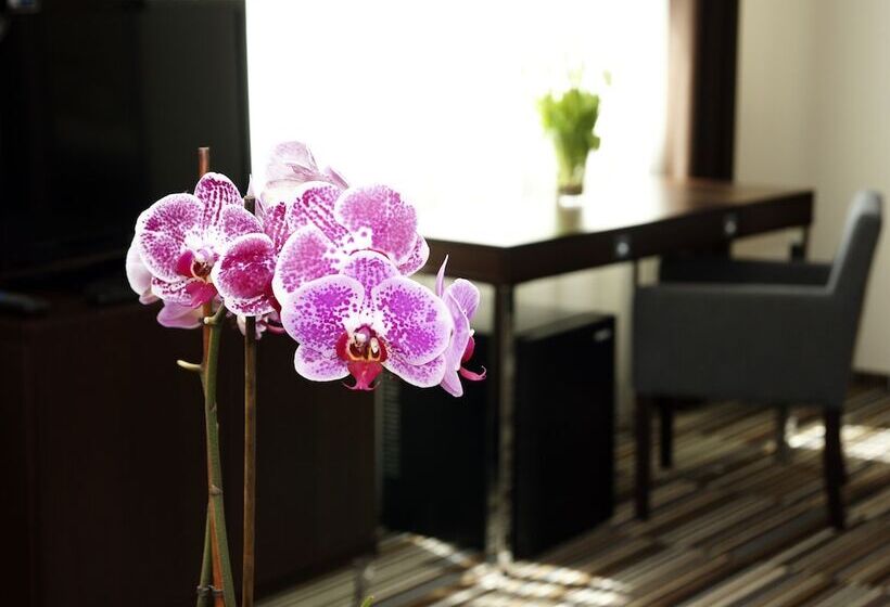 Номер Deluxe, City Center House Elephant