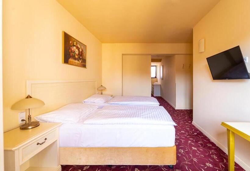 舒适三人间, Spa Hotel Vita