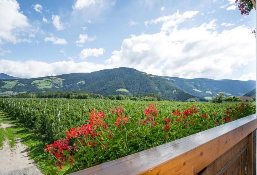 标准三人间, Mineralienhotel Natznerhof