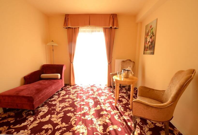 豪华房间, Spa Hotel Vita