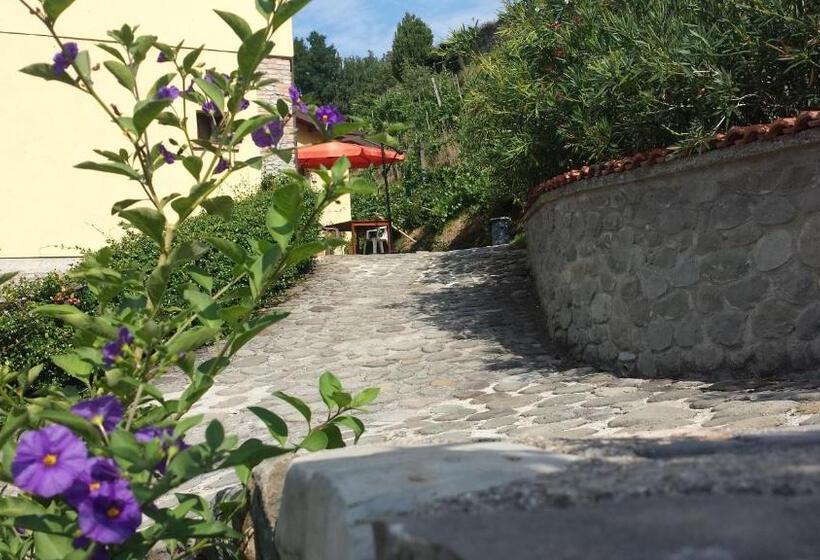 Апартаменты 2 Спальни, Agriturismo Il Poderetto