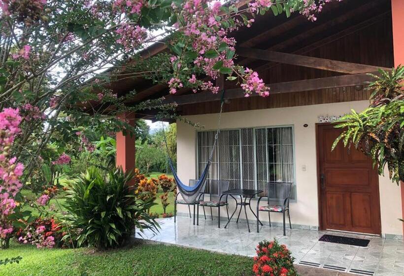 Номер Стандарт, Villas Vilma