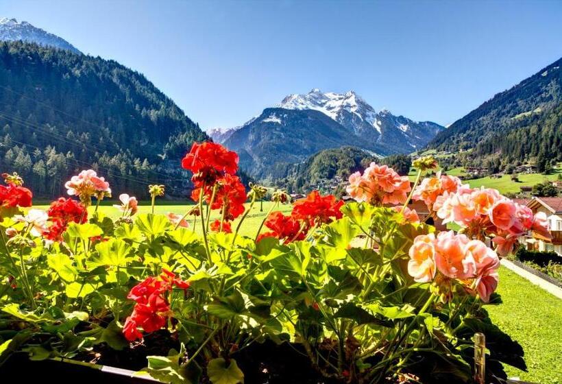 آپارتمان 2 خوابه, Gästehaus Oblasser