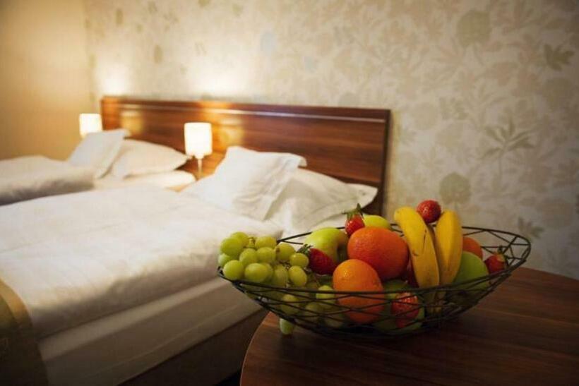 스탠다드 룸, Wellness Hotel Spark