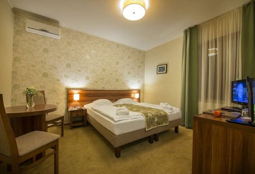 스탠다드 룸, Wellness Hotel Spark