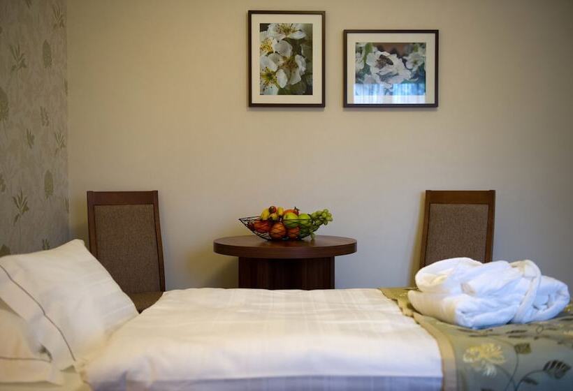 غرفة قياسية, Wellness Hotel Spark