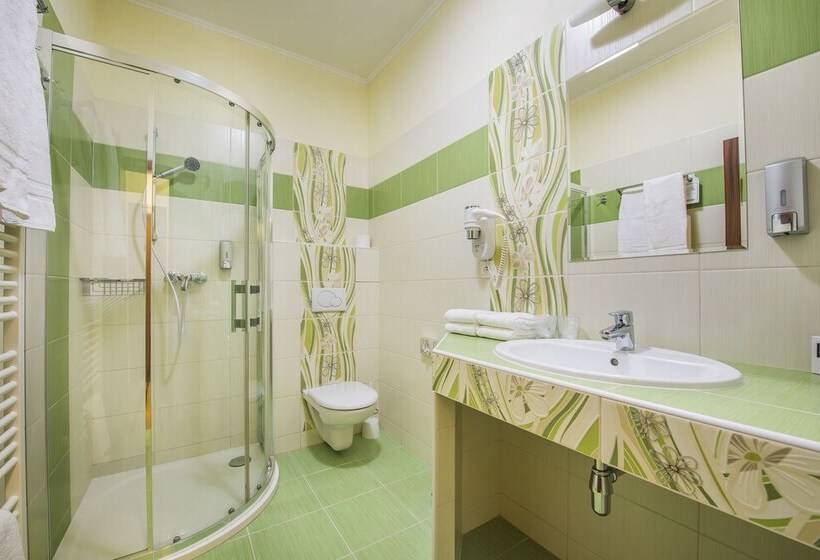 스탠다드 룸, Wellness Hotel Spark