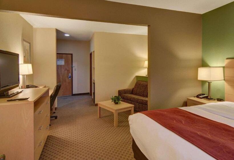 Студио Стандарт Кровать Кинг, Comfort Suites Lindale